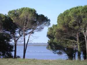 Veduta della Laguna di Aquileia